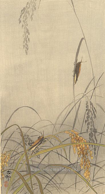 Heuschrecken auf Reispflanzen Ohara Koson Shin Hanga Ölgemälde